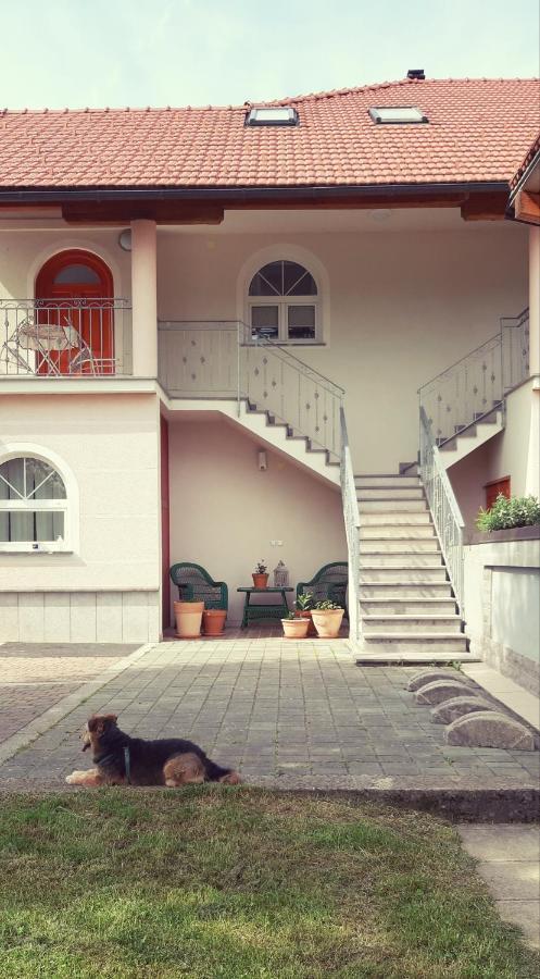 Markovec Prenocisca Angelin Hram, Tiny Apartments מראה חיצוני תמונה