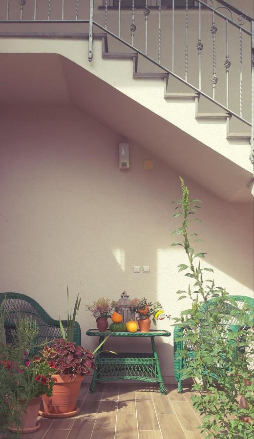 Markovec Prenocisca Angelin Hram, Tiny Apartments מראה חיצוני תמונה